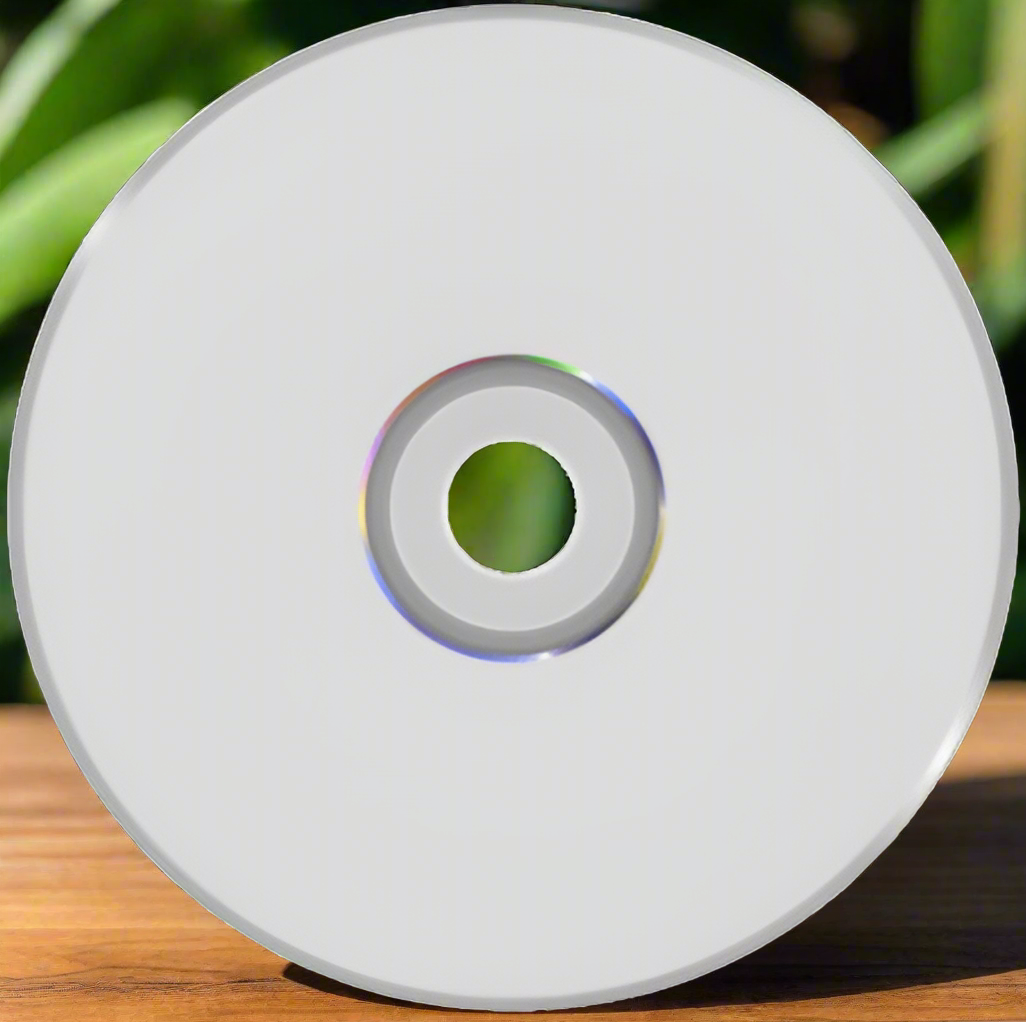 Convert DVD & Mini DVD to Digital – Digital Memory Box